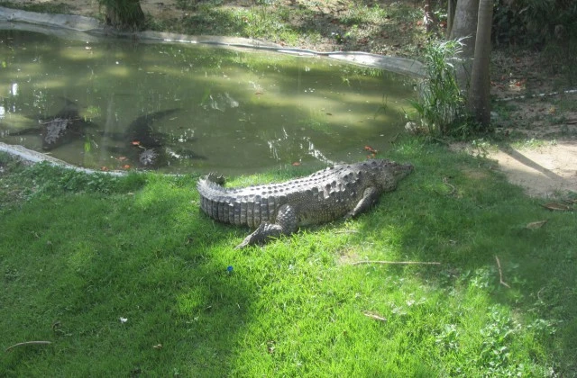 Parc Zoologique National 7